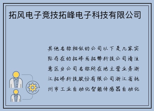 拓风电子竞技拓峰电子科技有限公司